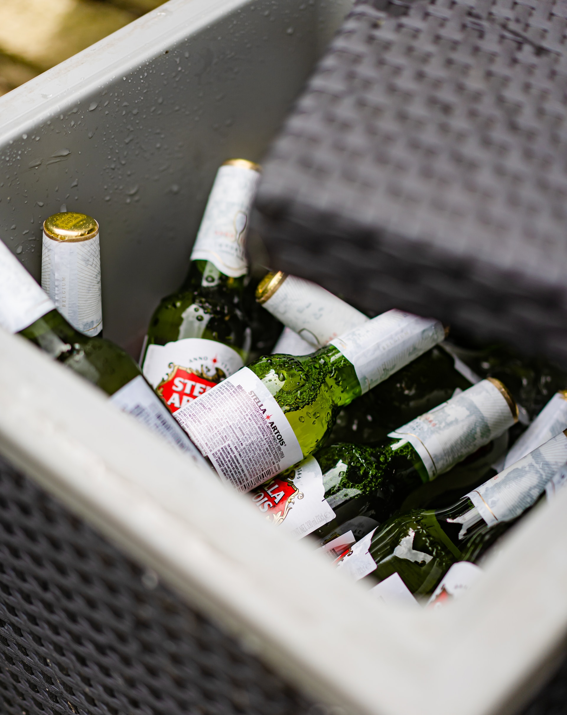 Frigo-stoemelings.jpg